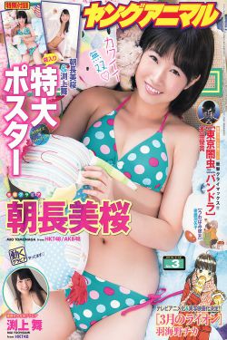 《金枝欲孽2片尾曲》