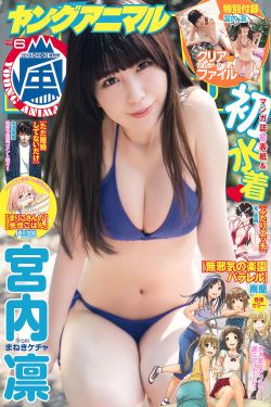 《16mn无缝管标准》