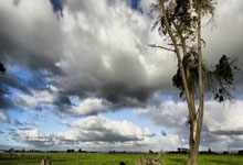 ��Լ˿·���� Ʒ����̬ũҵ:��̬ũҵ