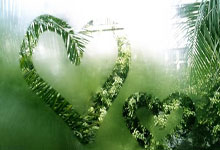 ����������̬ũҵ ������⽡��:��̬ũҵ