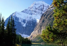 ��ũ���Ű�����̬ũҵ�������޹�˾������ע���ʱ�10000�������:��̬ũҵ